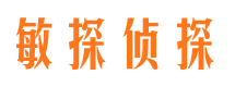 民权市侦探公司